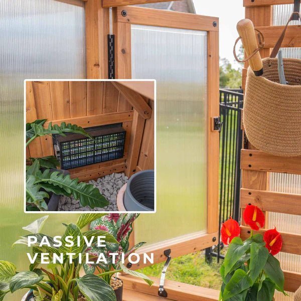 9×6 Willow Greenhouse - Image 12