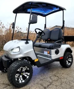 48V Electric Golf Cart 2 Seater Renegade Light Edition Utility Golf UTV W/Utility Box – SILVER