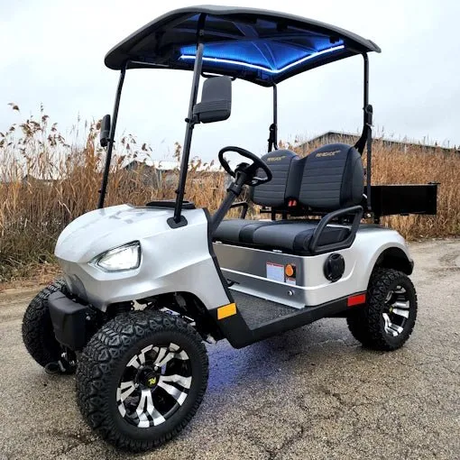 48V Electric Golf Cart 2 Seater Renegade Light Edition Utility Golf UTV W/Utility Box – SILVER