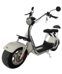 eDrift Fat Bear Fat Road Electric Fat Tire Scooter [PREORDER 6-8 WEEKS]